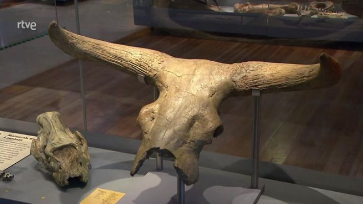 La aventura del Saber - Paleo en el barrio