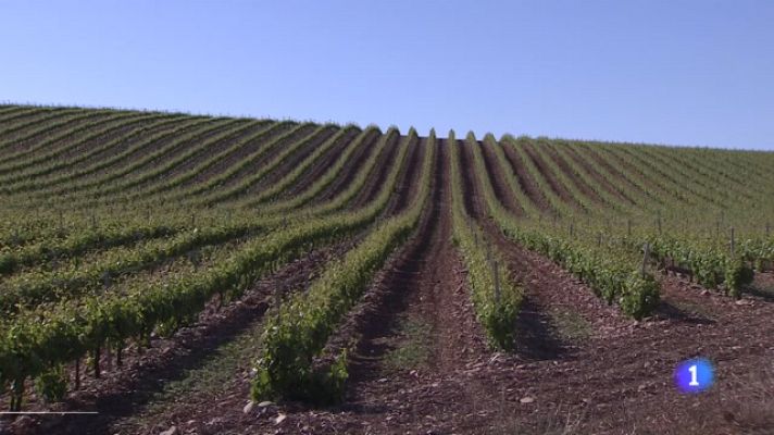 Informativo Telerioja - Informativo Telerioja  - 07/06/23