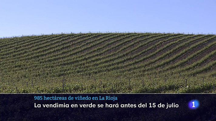 Informativo Telerioja - Telerioja en 2' - 07/06/23