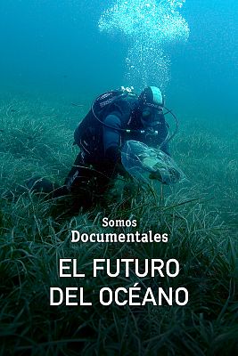 El futuro del océano