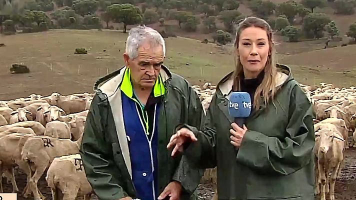 La hora de La 1 - La hora de la actualidad - 08/06/23