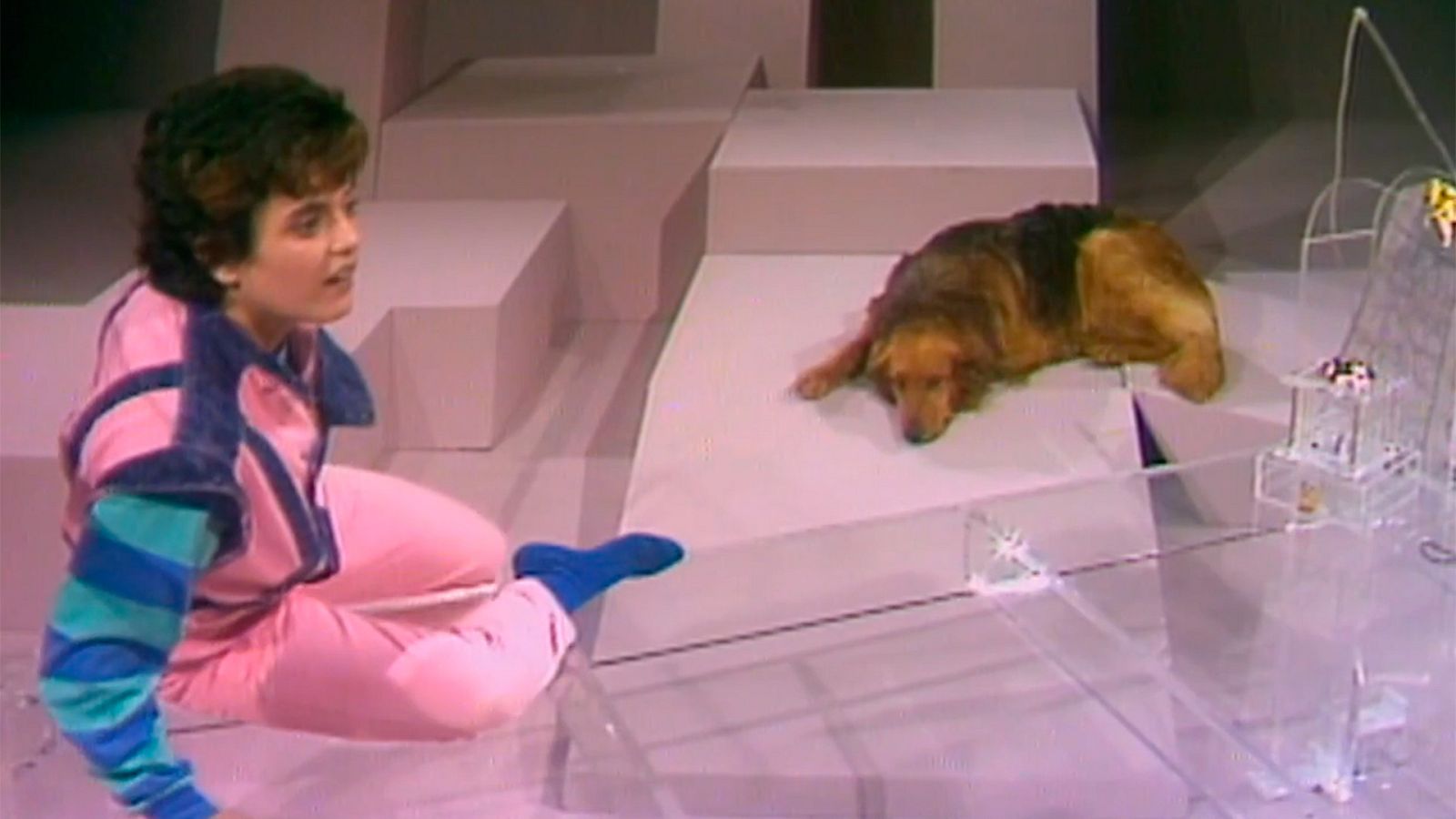 Arxiu TVE Catalunya - Planeta imaginari - Els animals, 1ª part