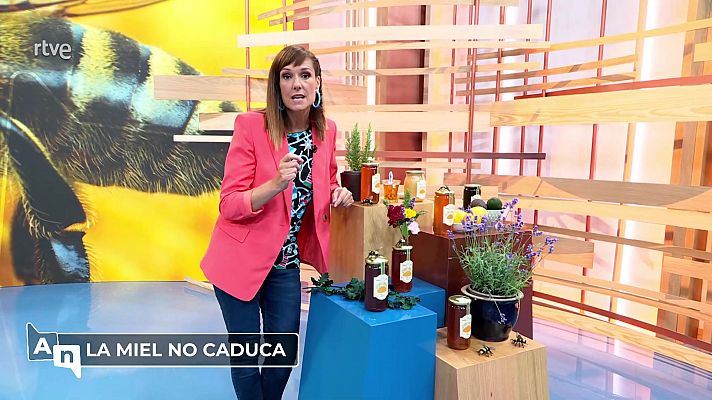 Ahora o nunca - Programa 97