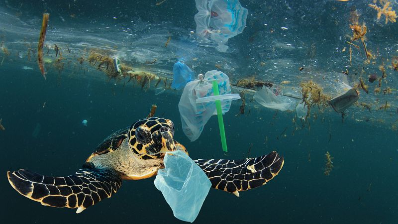Voluntarios españoles emprenden una recogida masiva de plástico en Grecia
