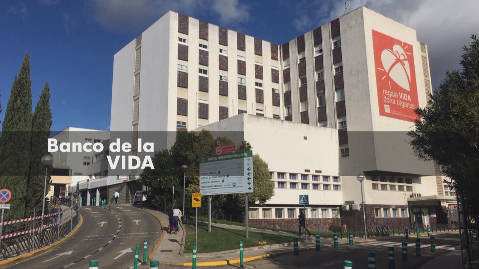 'Banco de la vida' tras un trasplante - Ver ahora