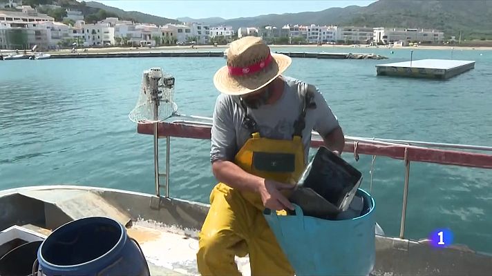 'Pesca Neta' per netejar el mar: els pescadors retiren 70.000 litres de brossa