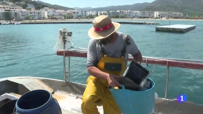 L'Informatiu - 'Pesca Neta' per netejar el mar: els pescadors retiren 70.000 litres de brossa