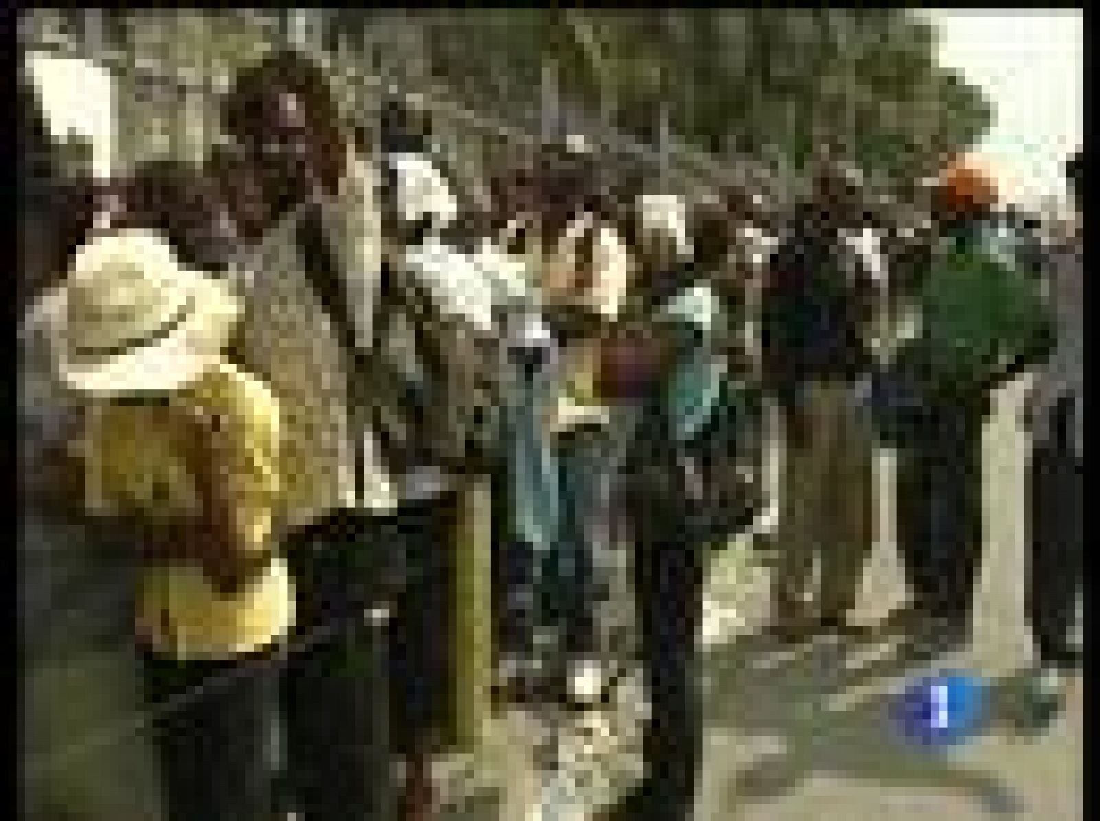 En Haití, la fuga de cerebros puede aumentar | Ver