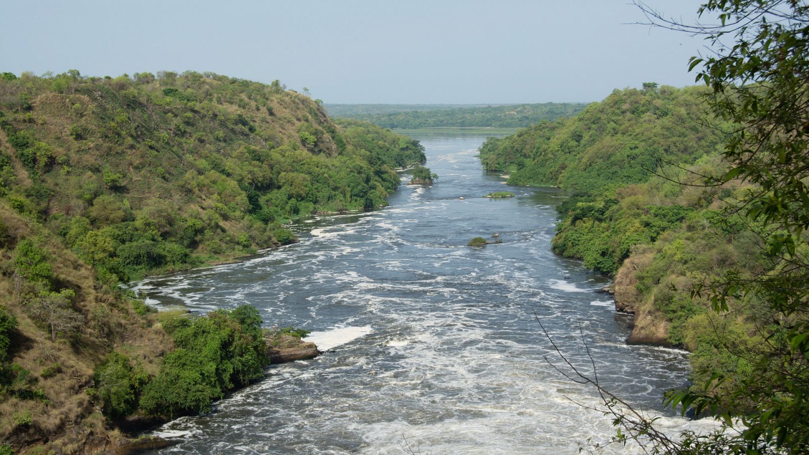 La vida en los ríos de África - Episodio 7: Río Nilo