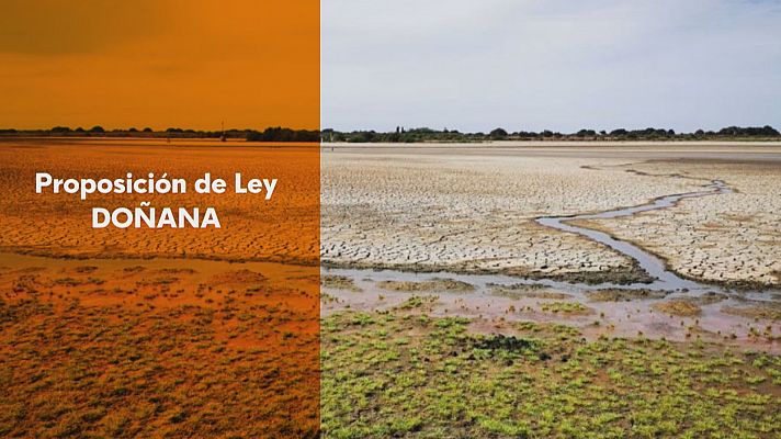 Noticias Andalucía - Sigue el enfrentamiento por Doñana