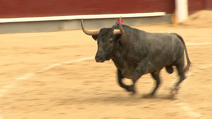 Tendido cero - Tendido cero - 10/06/23