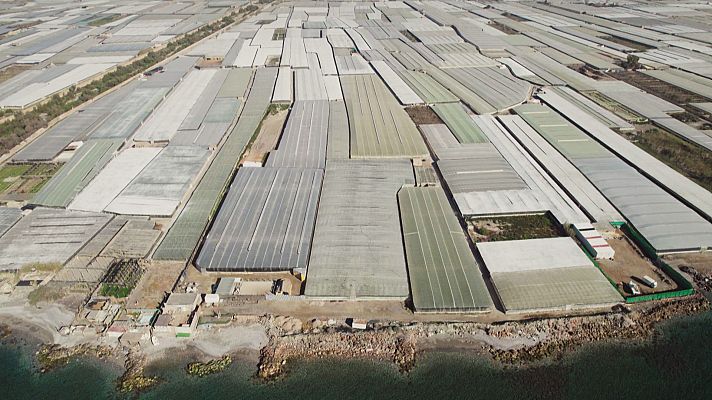 En portada - Bajo el plástico