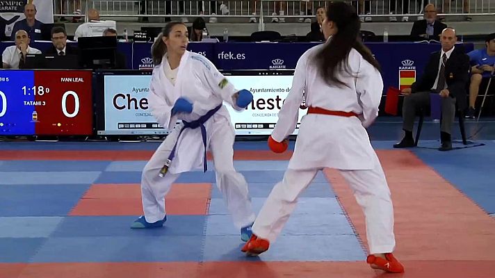 Kárate - Campeonato de España de Clubes Alicante