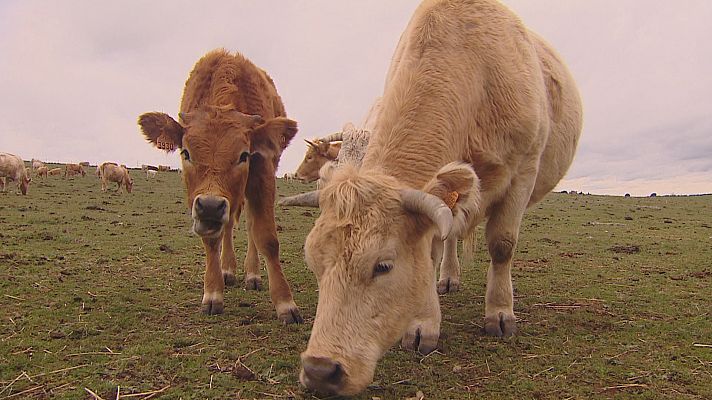 Agrosfera - Agrosfera - 10/06/23