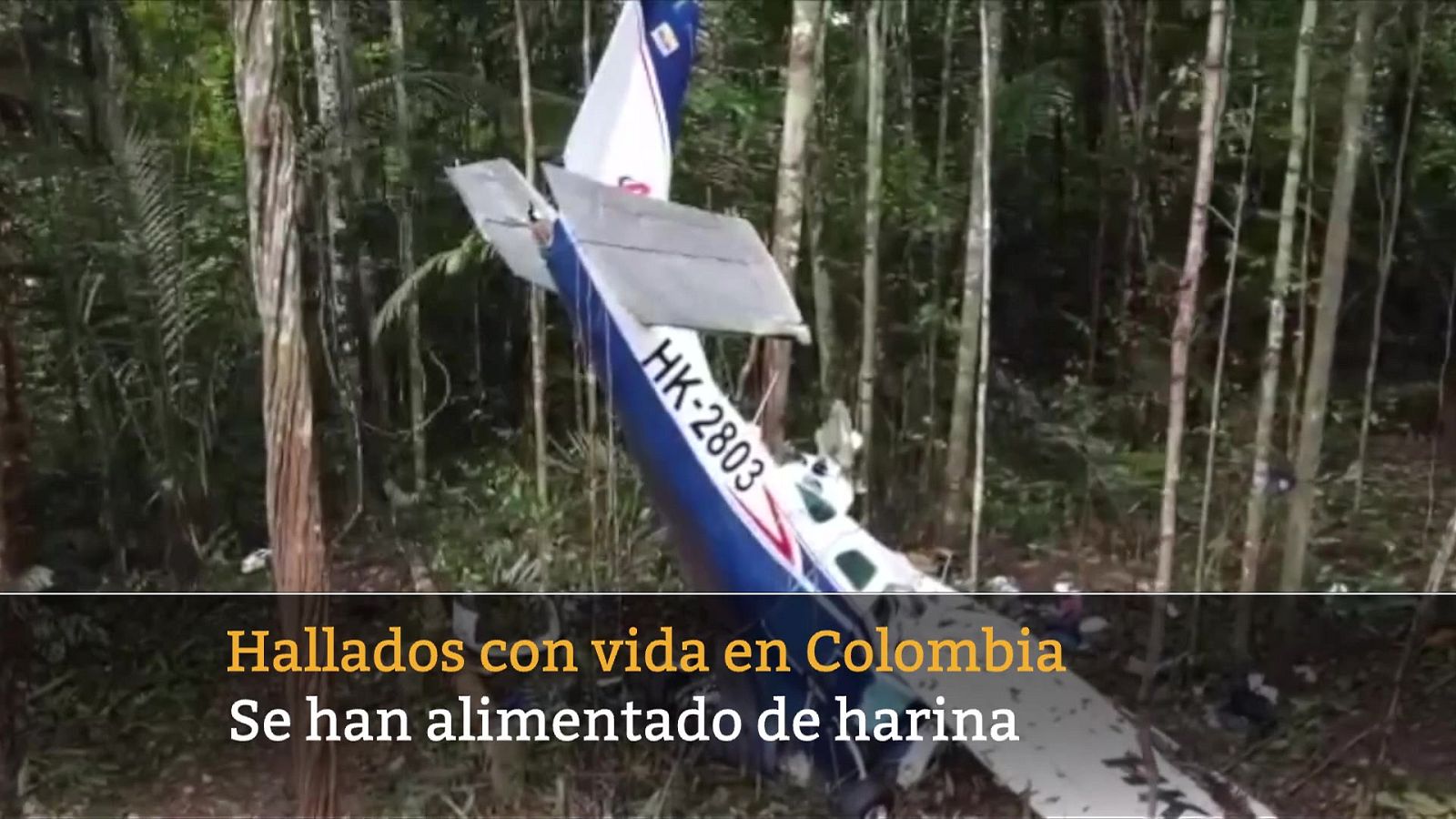 Informativo 24 horas - 20h - 10/06/23 - ver ahora