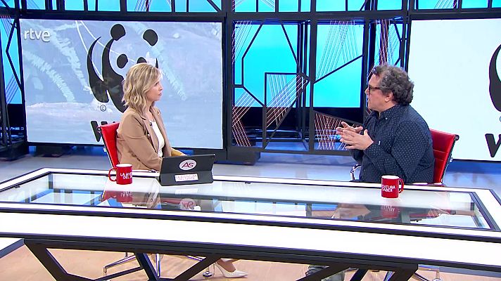 La aventura del Saber - La aventura del saber - 05/06/23 - Lengua de signos