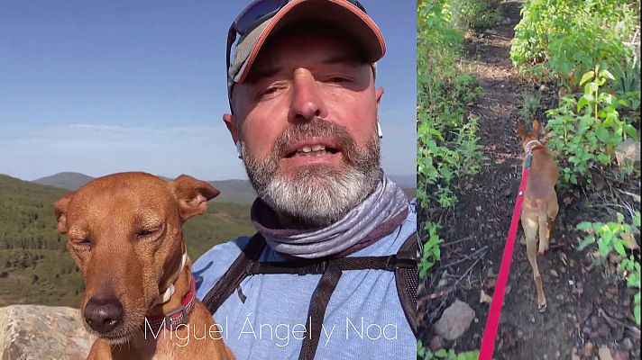  - Miguel Ángel - Cuidemos la naturaleza