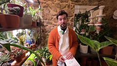 Va de Verd - Amb aquesta guia, les teves plantes t'estimaran segur!