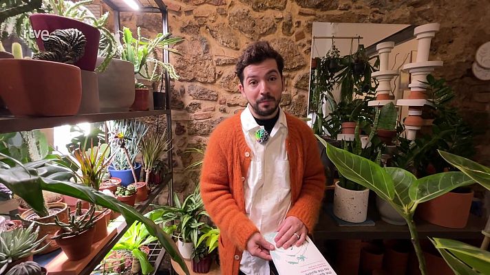Va de verd - Amb aquesta guia, les teves plantes t'estimaran segur