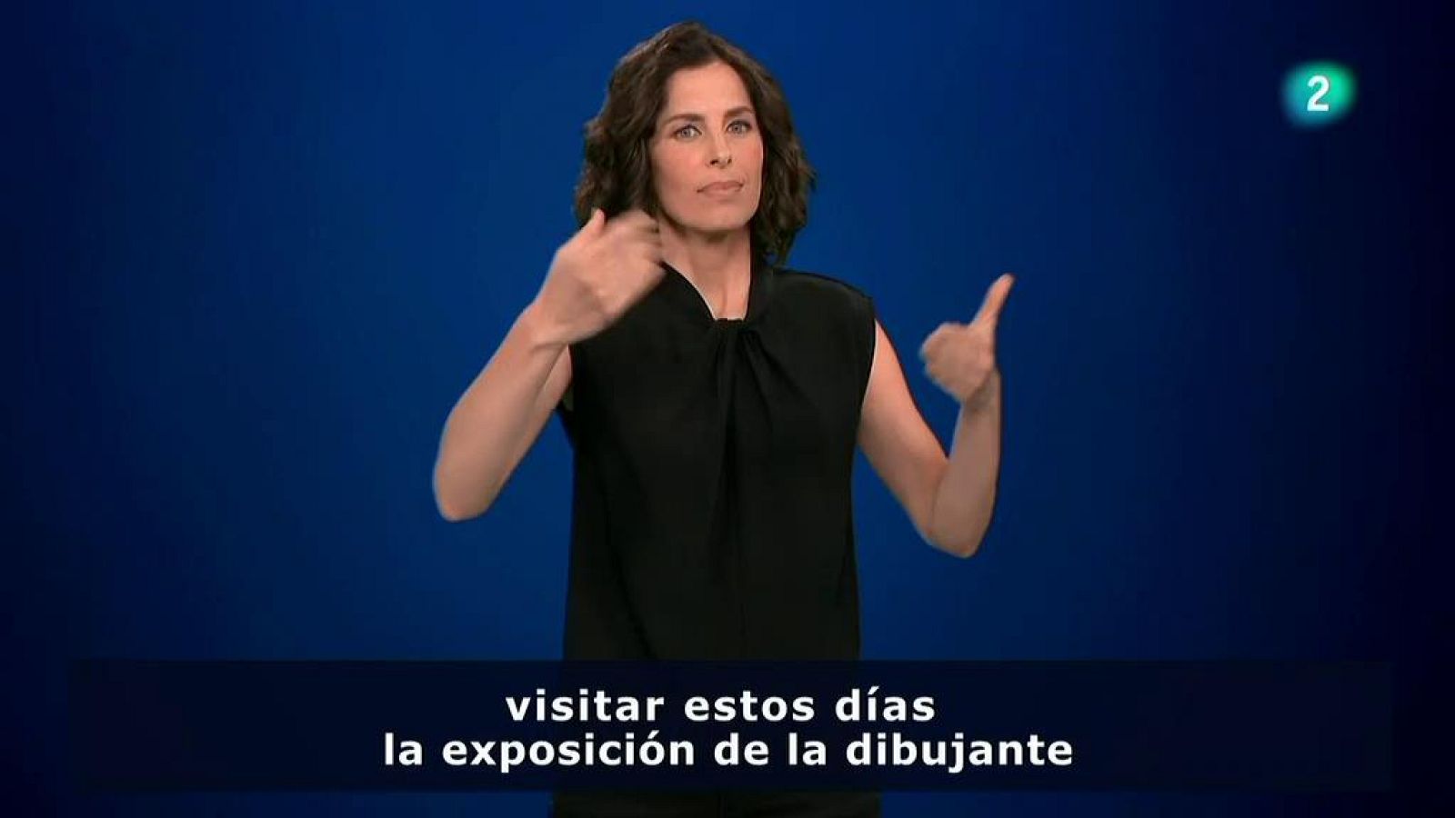 Cultura: La exposición Voladora Roca de la dibujante sorda Isabel de las Heras