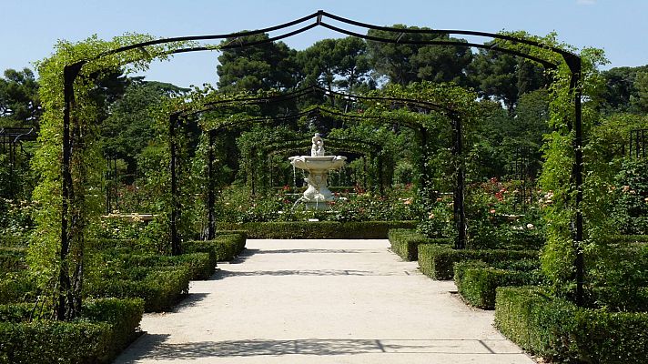 Destino saludable: Real Jardín Botánico de Madrid