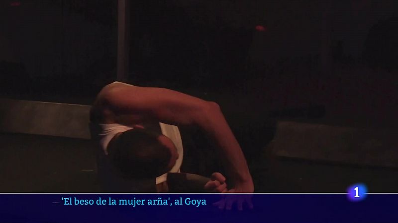 'El beso de la mujer araña' al Teatre Goya