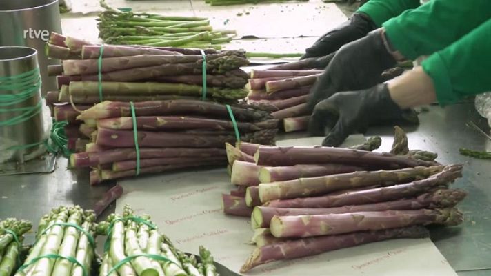 Aquí la Tierra - Aquí la Tierra - 12/06/23