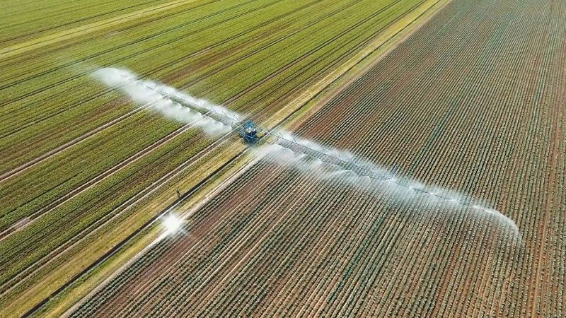 Greenpeace propone reducir los regadíos en zonas tensionadas