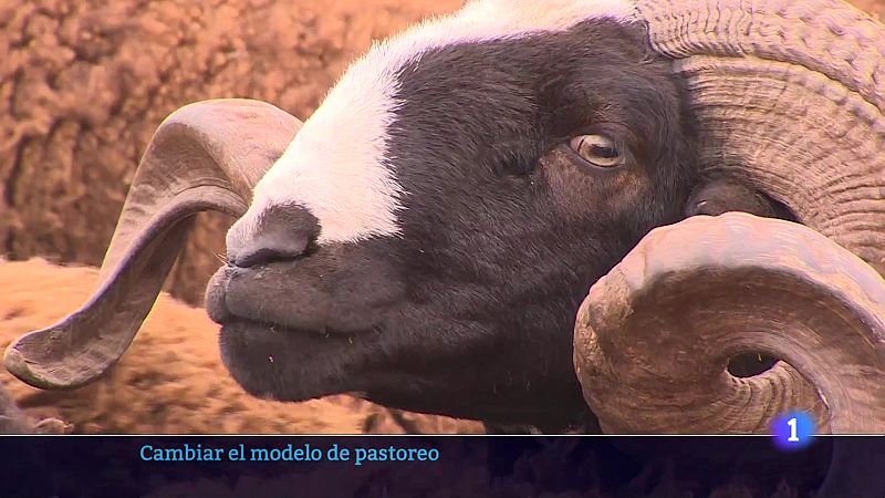 Telerioja en 2' - 13/06/23 - Ver ahora