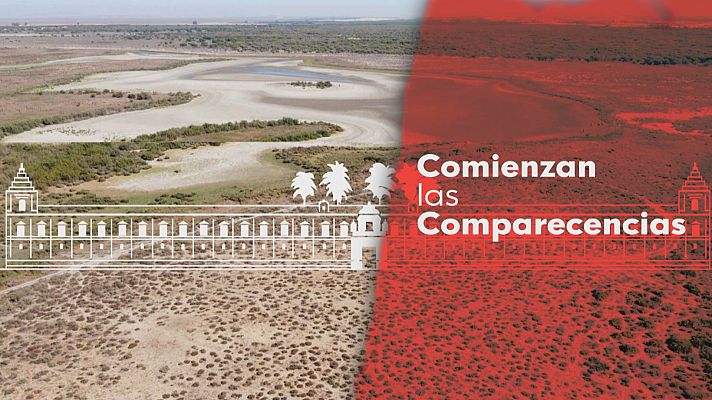 Comisión sobre el proyecto Doñana