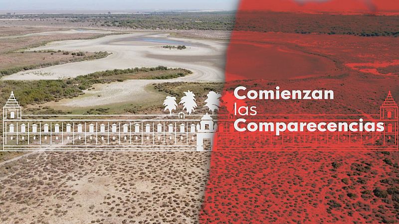 Comisión sobre el proyecto Doñana - Ver ahora