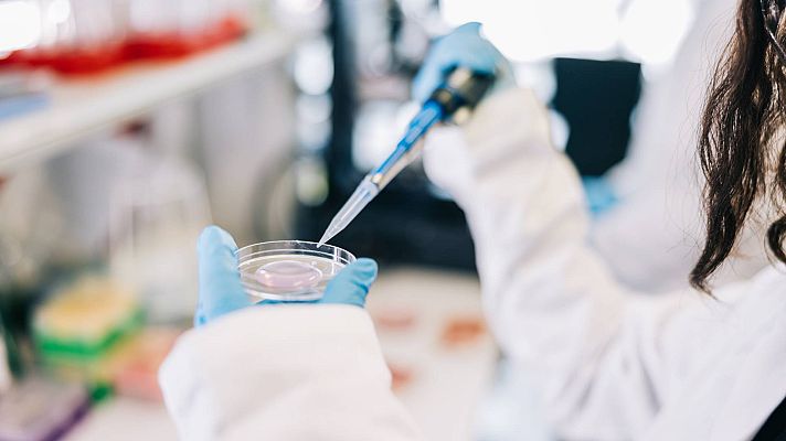 Informativo 24h - La larva migratoria cutánea, una infección más frecuente en perros y gatos que afecta a humanos