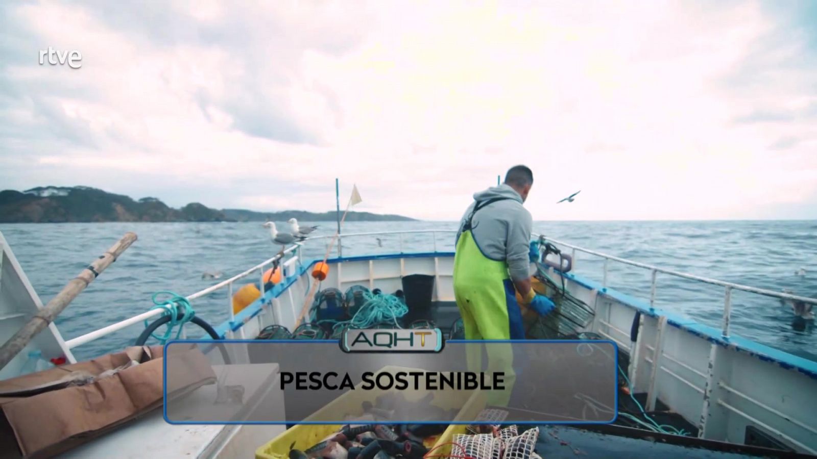 AQUÍ HAY TRABAJO - Pesca sostenible - ver ahora