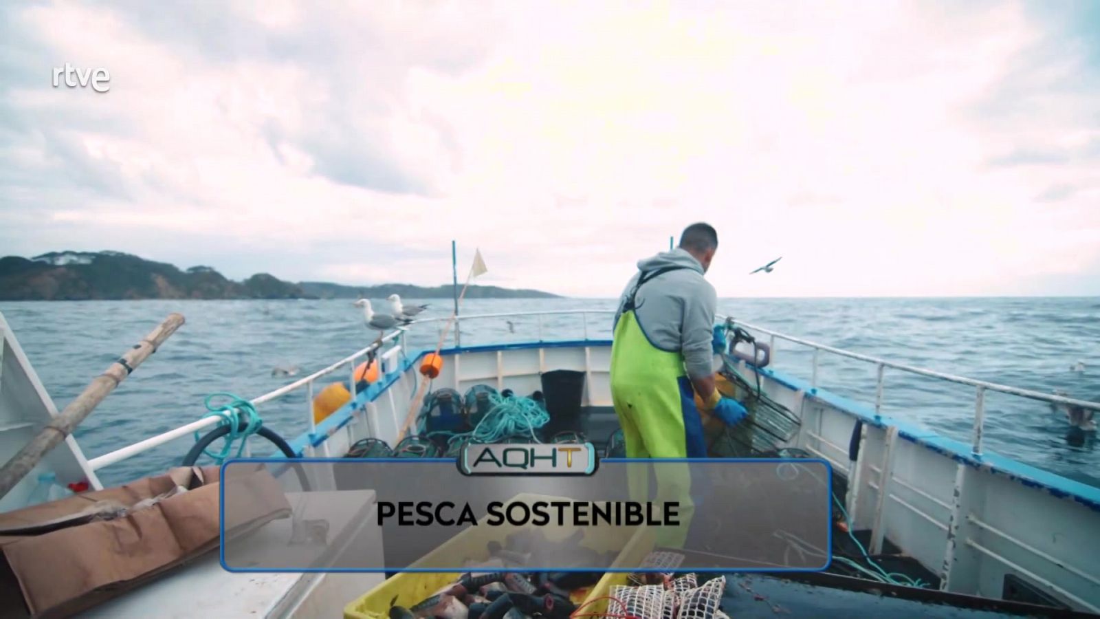 Pesca sostenible