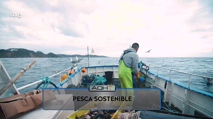 Aquí hay trabajo - Pesca sostenible