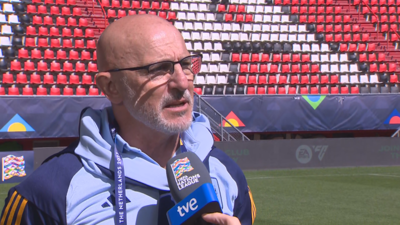 De la Fuente, en RTVE: "No me preocupan las cr�ticas. Lo que me ocupa es Italia" - ver ahora