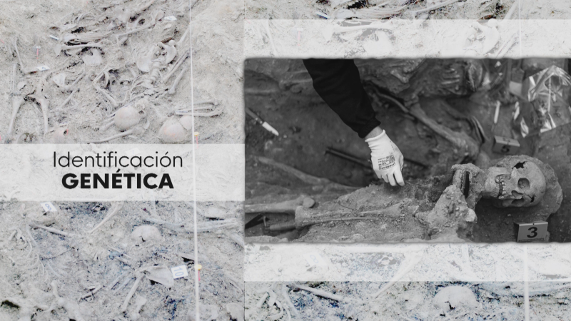 Identificando los restos de las fosas - Ver ahora