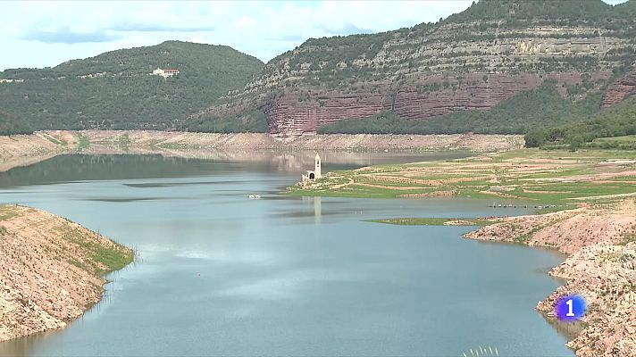 L'Informatiu - Els boscos reben amb alegria les darreres pluges