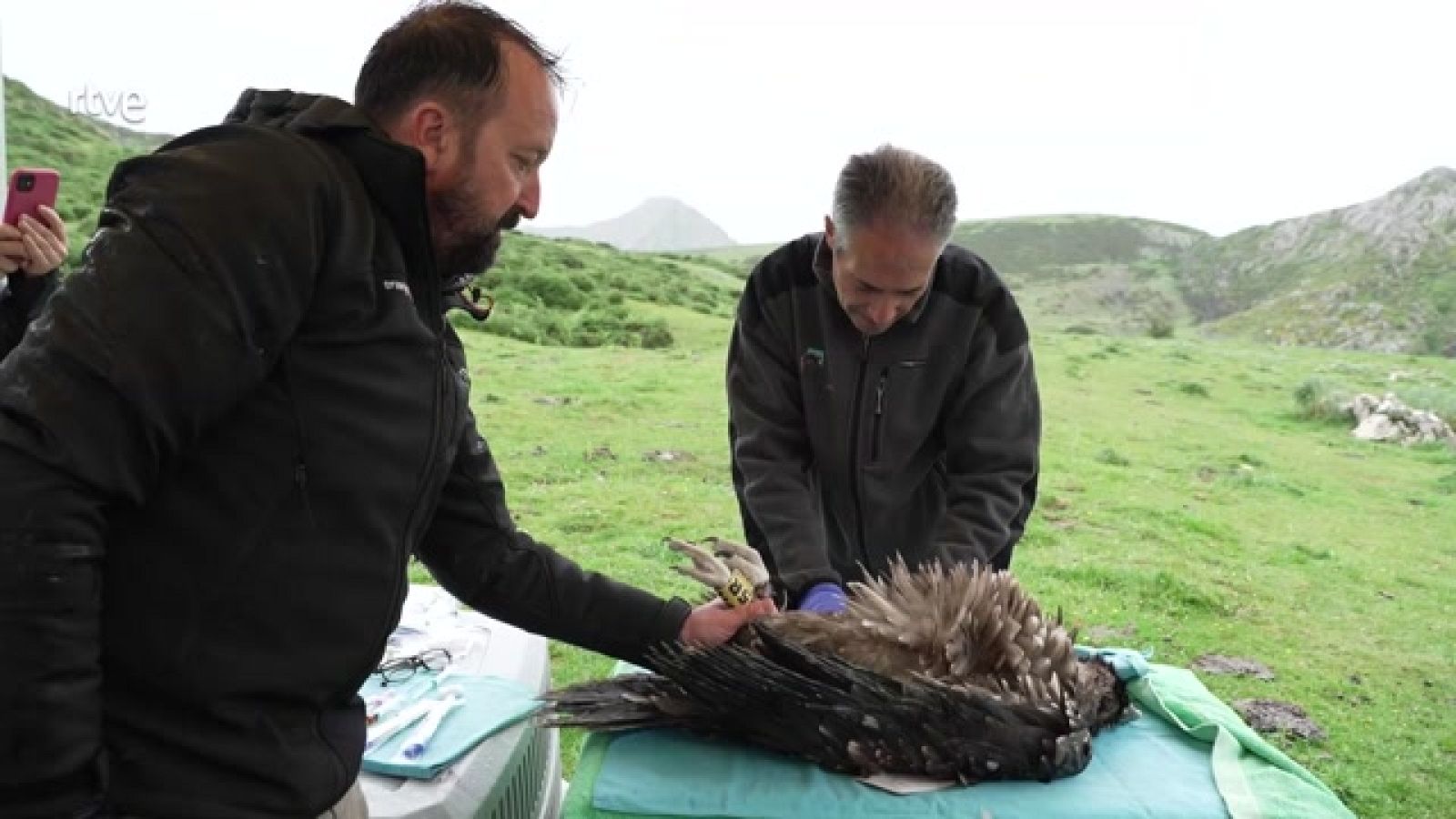 Aquí la Tierra - 14/06/23 - ver ahora