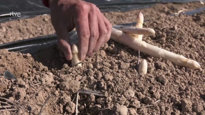 Aquí la Tierra - Aquí la Tierra - 16/06/23