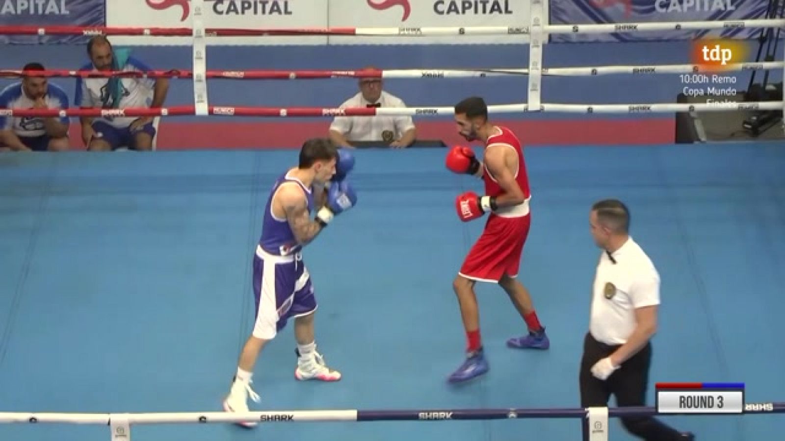 Boxeo - Campeonato de España. Finales masculinas