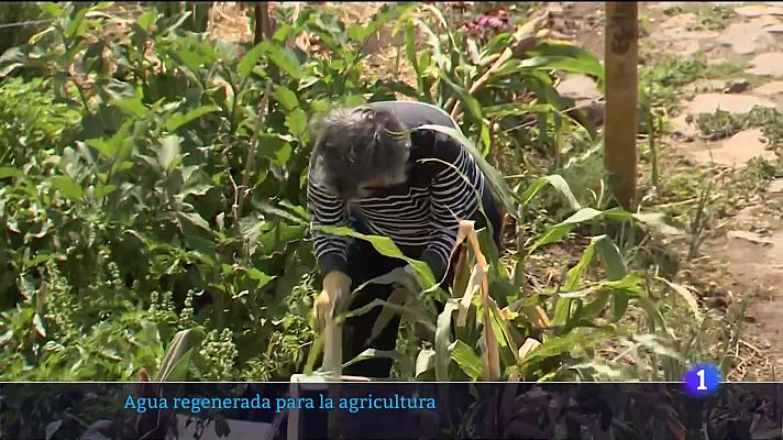 Telecanarias - Canarias en 2' - 18/06/2023