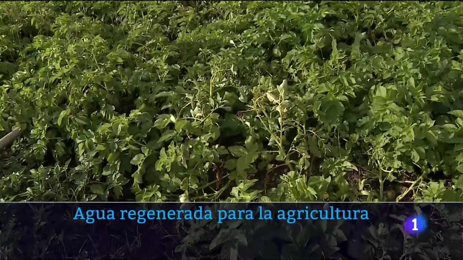 Telecanarias - 18/06/2023