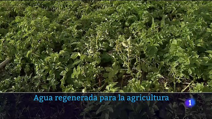 Telecanarias - Telecanarias - 18/06/2023