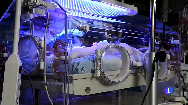 Una placenta artificial aconsegueix la supervivència d'un fetus de 12 dies