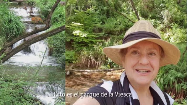  - Paz - Cuidemos la naturaleza