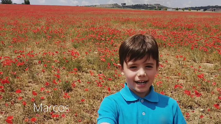  - Marcos - Cuidemos la naturaleza