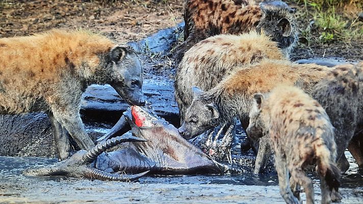 El difícil territorio de los licaones