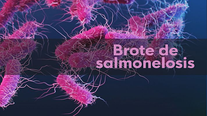 23 afectados por salmonelosis