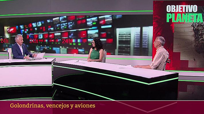 Objetivo Planeta - Golondrinas, vencejos y aviones